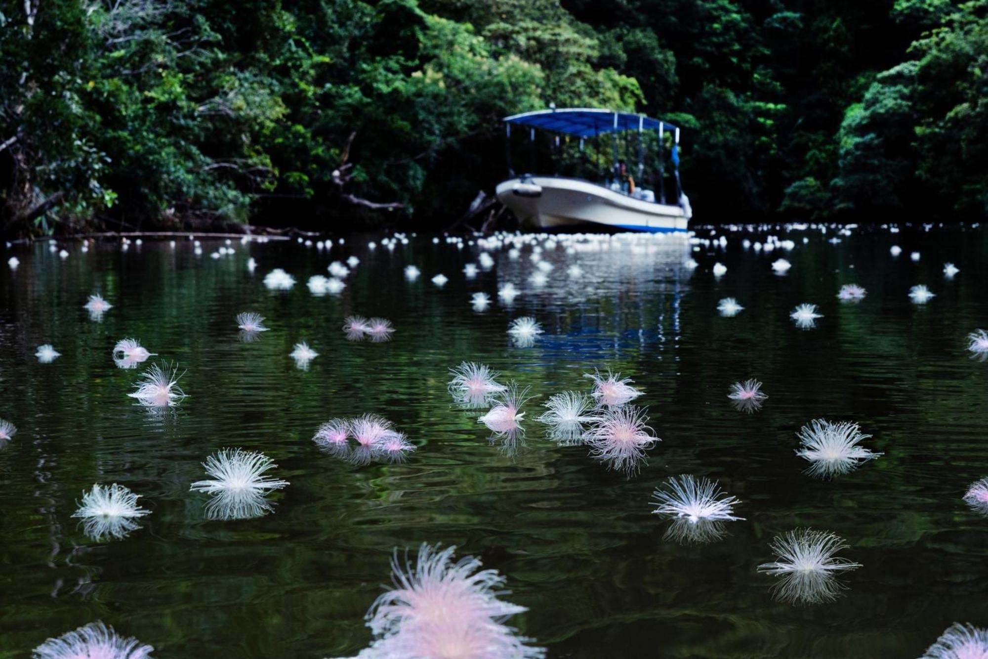 Iriomote Hotel By Hoshino Resorts Urauchi Buitenkant foto